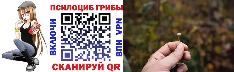 Галлюциногенные грибы ЛСД  кракен tor  Теберда  продажа наркотиков 