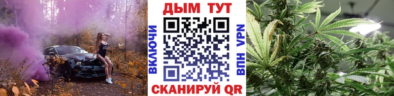 Шишки марихуана индика  где продают наркотики  OMG   Теберда 